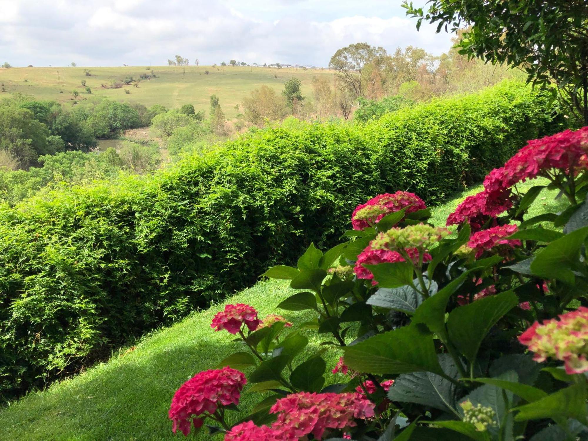 Hills And Dales Guest house